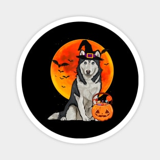 Dog Halloween Siberian Husky Jack O Lantern Pumpkin Magnet